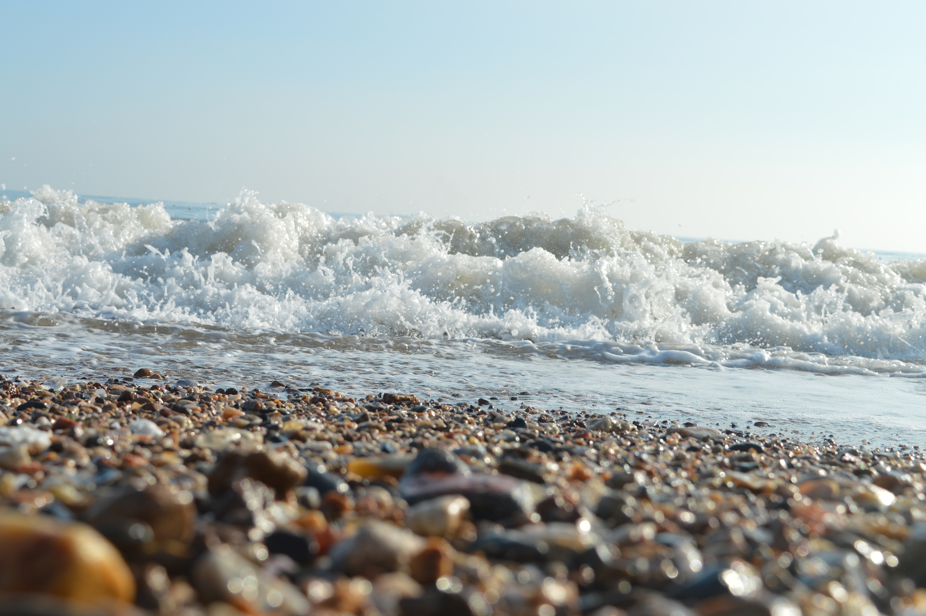 海 海浪 海滩 贝壳 摄影贝壳 沙滩 清晨海滩
