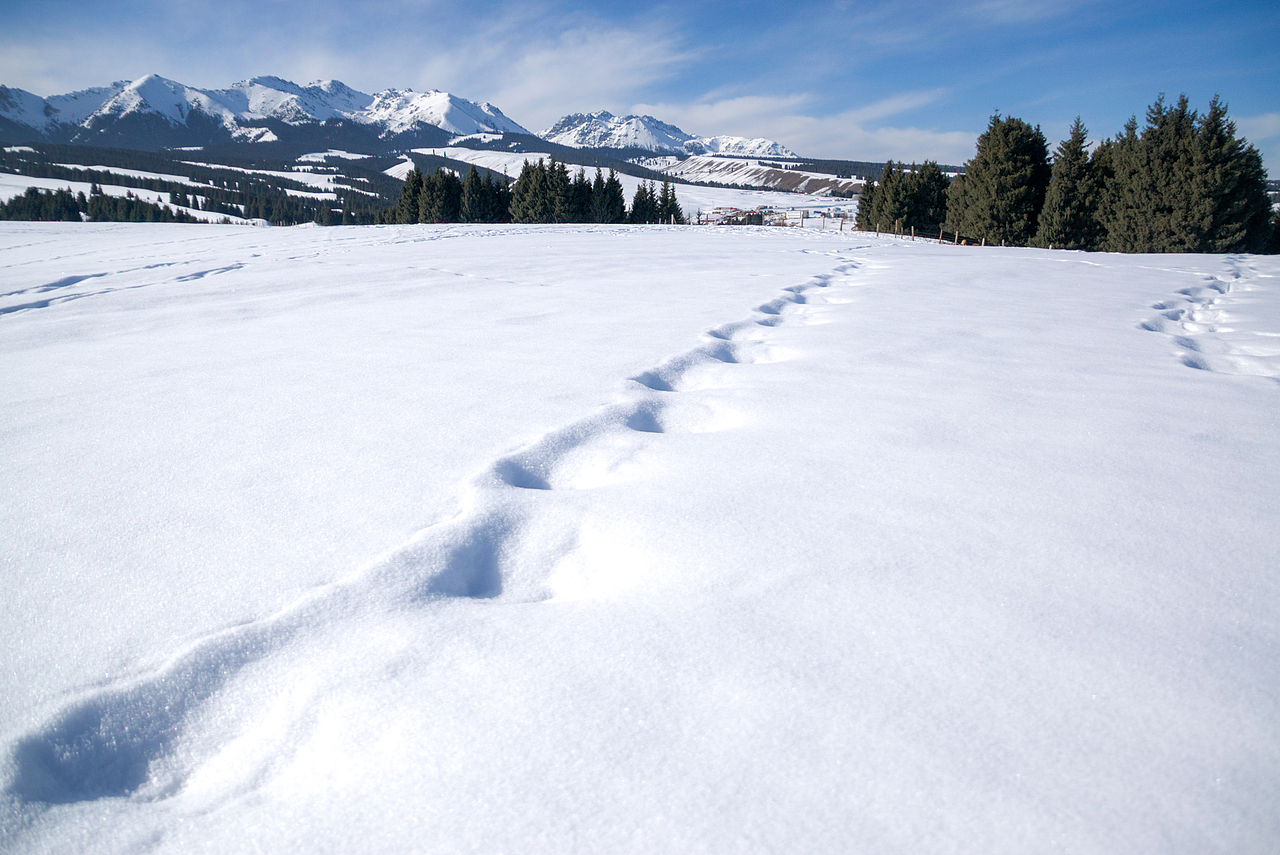 乌鲁木齐远郊南山之冬日