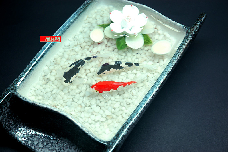 【一品龙鳞】系列作品2014.12.27（图ZMjMxNTUxMjQ=） - 其他手工艺 - 站酷设计师兽工君原创素材 - 站酷ZCOOL