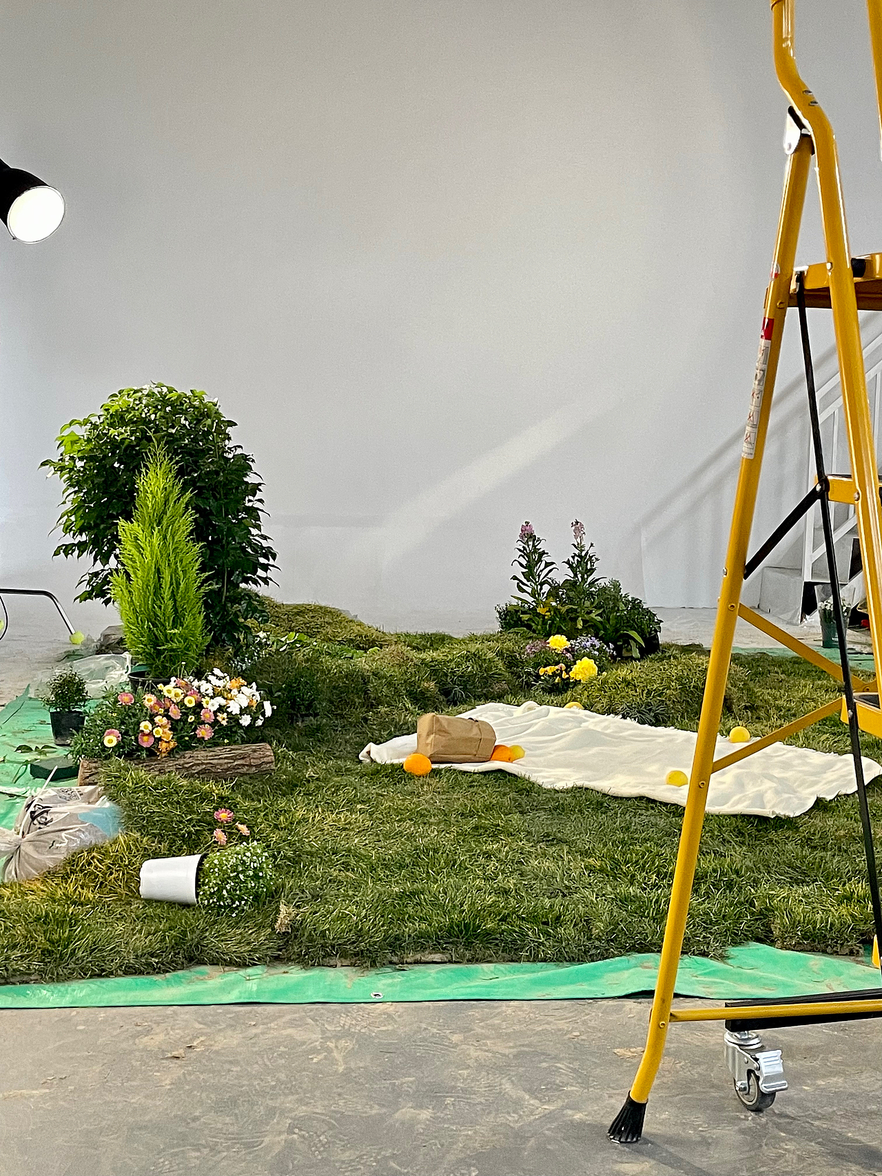 来组绿植置景花絮吧~春天搬进影棚里~~