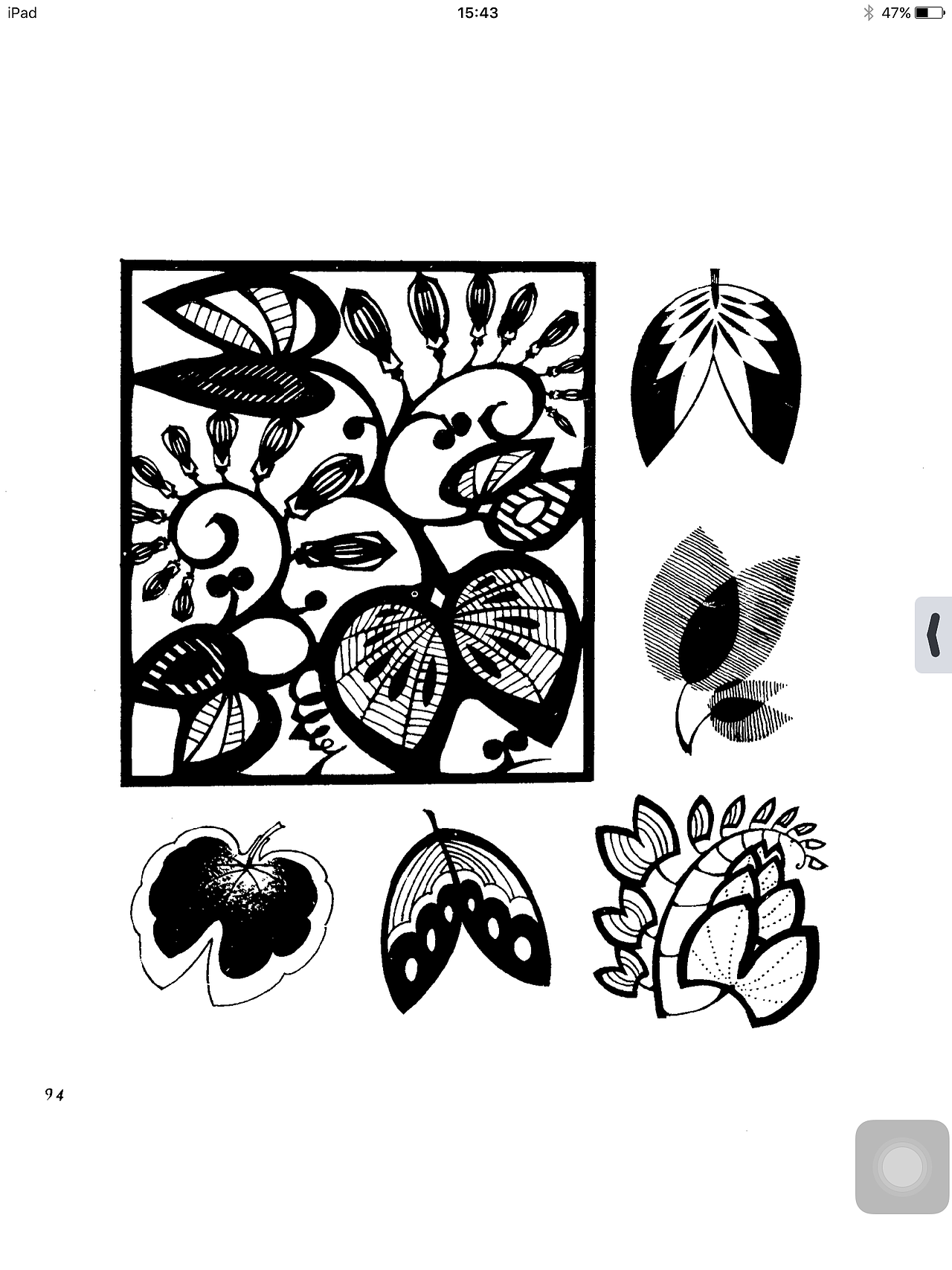 艺术设计考研装饰画素材——植物篇