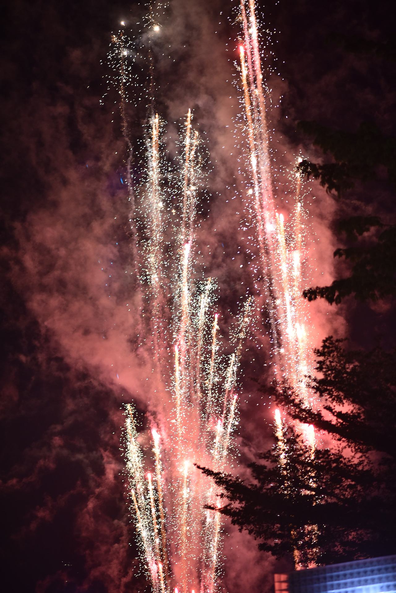 静默（图ZMjgxMjY4Njk2） - 环境/建筑摄影 - 站酷设计师阳光生物原创素材 - 站酷ZCOOL