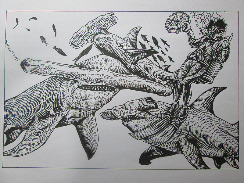 深海系列——遇见锤头鲨(手绘过程)