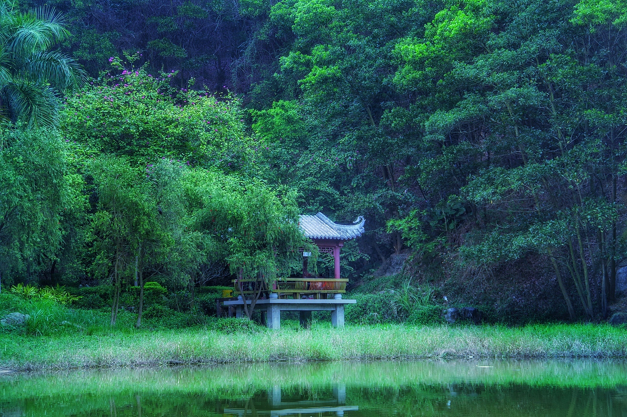 深圳国际花卉中心（图ZNjk0MzEwNTI=） - 风光摄影 - 站酷设计师chenzehui原创素材 - 站酷ZCOOL