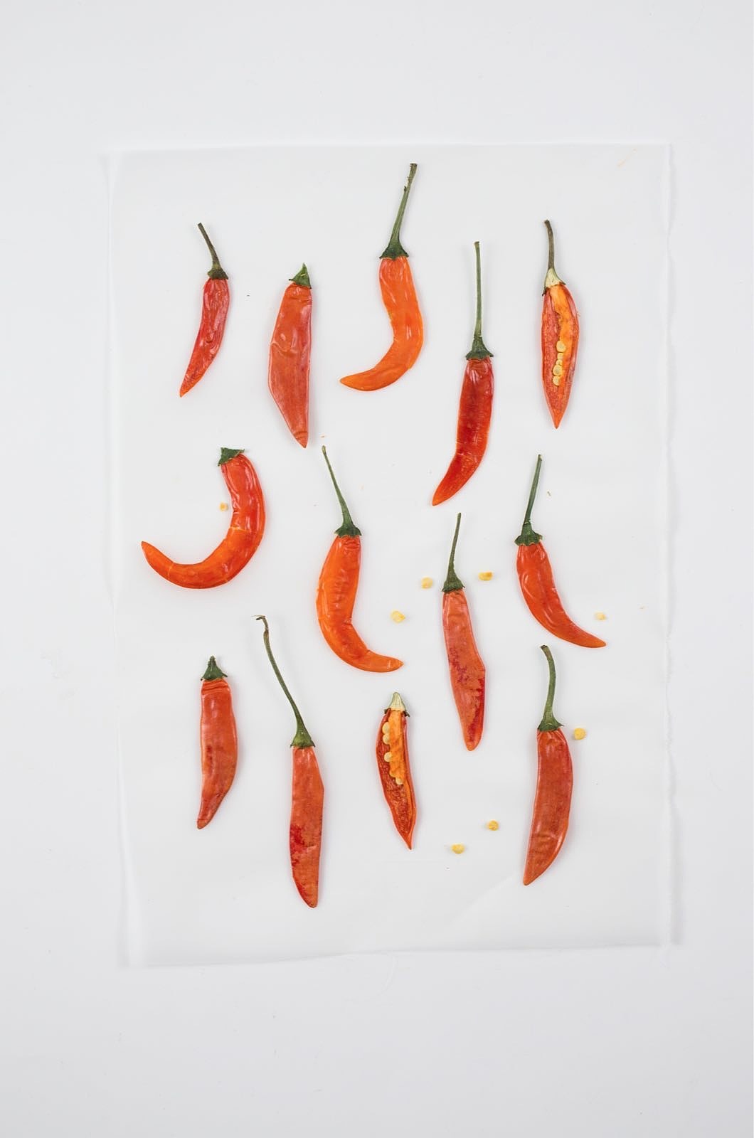 蔬菜食物平面海报设计与手作（图ZMTU5NDI0MTMy） - 海报 - 站酷设计师Tian刘天原创素材 - 站酷ZCOOL