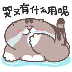 憨猫呆咪2表情上线（图ZMjAyOTY1Mjky） - 网络表情 - 站酷设计师噗噗爱画画原创素材 - 站酷ZCOOL