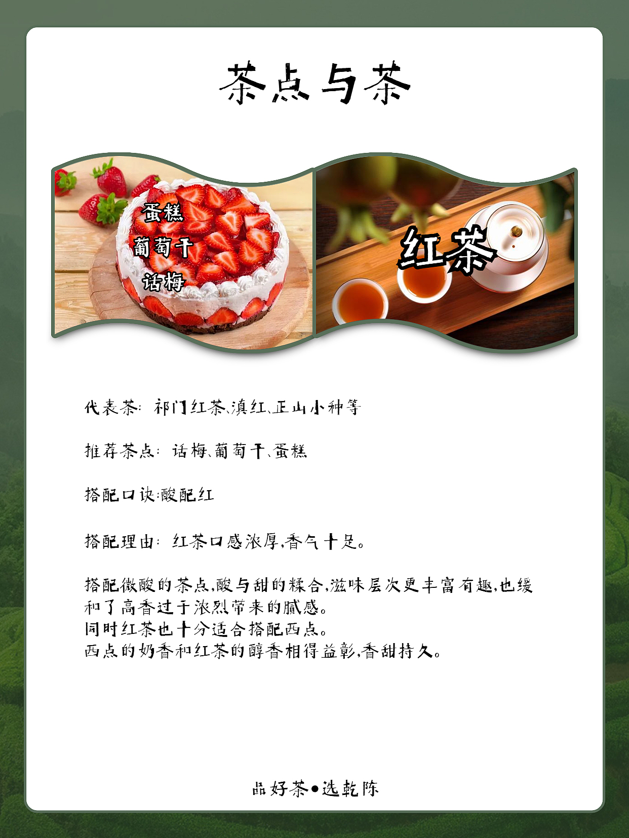 每日一款茶茶点知识