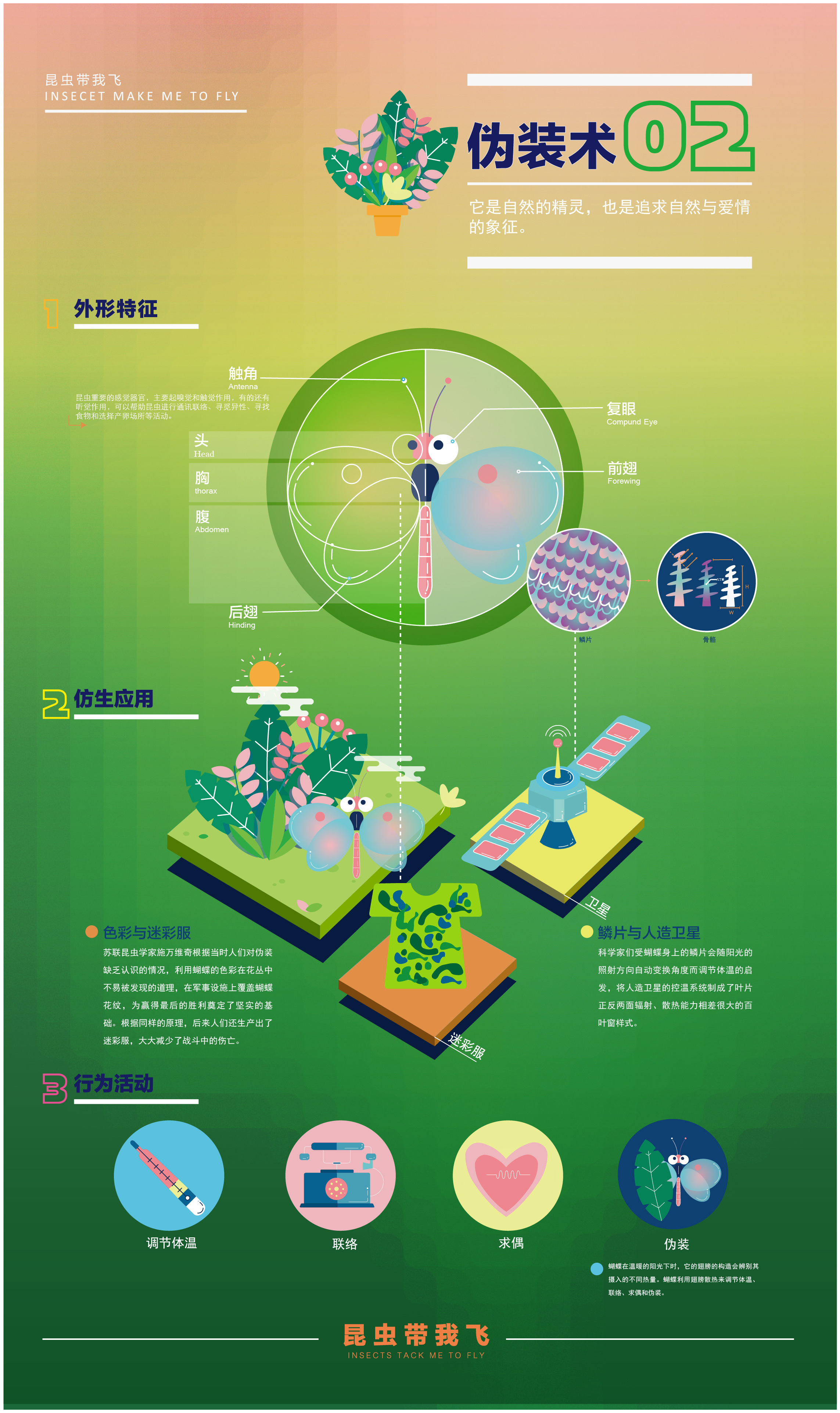 毕业设计-【昆虫带我飞】-信息可视化海报#青春答卷2015