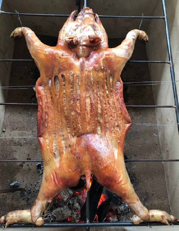 【贺州去哪里学烤猪yrf-红松叶-索】|其他|其他