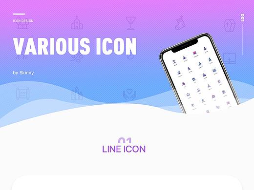 VARIOUS ICON