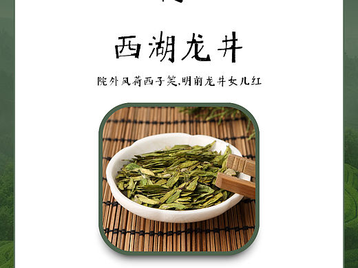 西湖龙井你知道多少