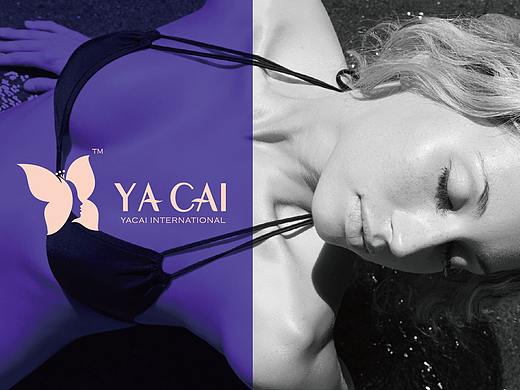 Ya Cai International 雅彩国际视觉形象设计