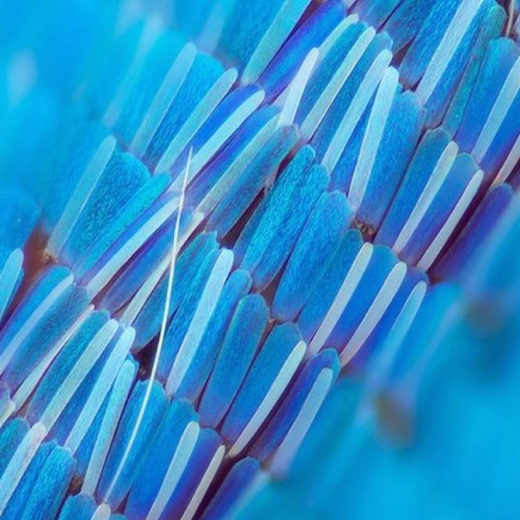 FIXWHITE的個(gè)人主頁（背景預(yù)覽） - 主頁背景設(shè)置 - 站酷設(shè)計(jì)師FIXWHITE原創(chuàng)素材 - 站酷ZCOOL