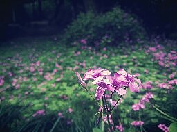 无线乐趣（图ZNTM4MzYyODg=） - 风光摄影 - 站酷设计师科恩赞原创素材 - 站酷ZCOOL