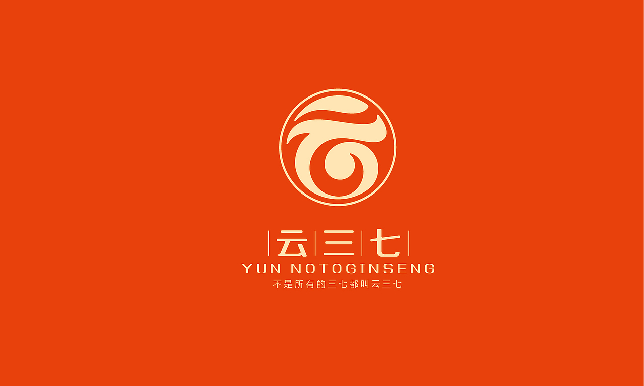 云三七|品牌升级