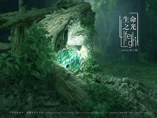 生命之光life&light