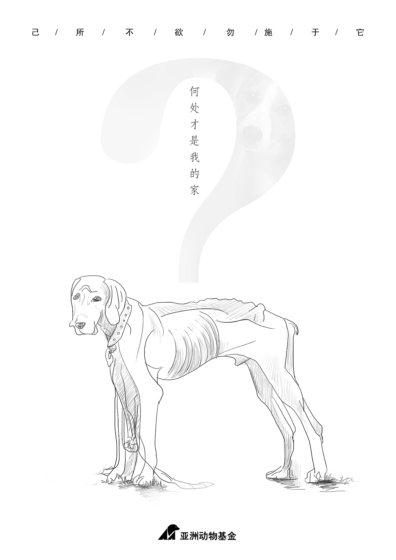 保护动物（图ZMTM2NjYyMTM2） - 海报 - 站酷设计师新月未满原创素材 - 站酷ZCOOL