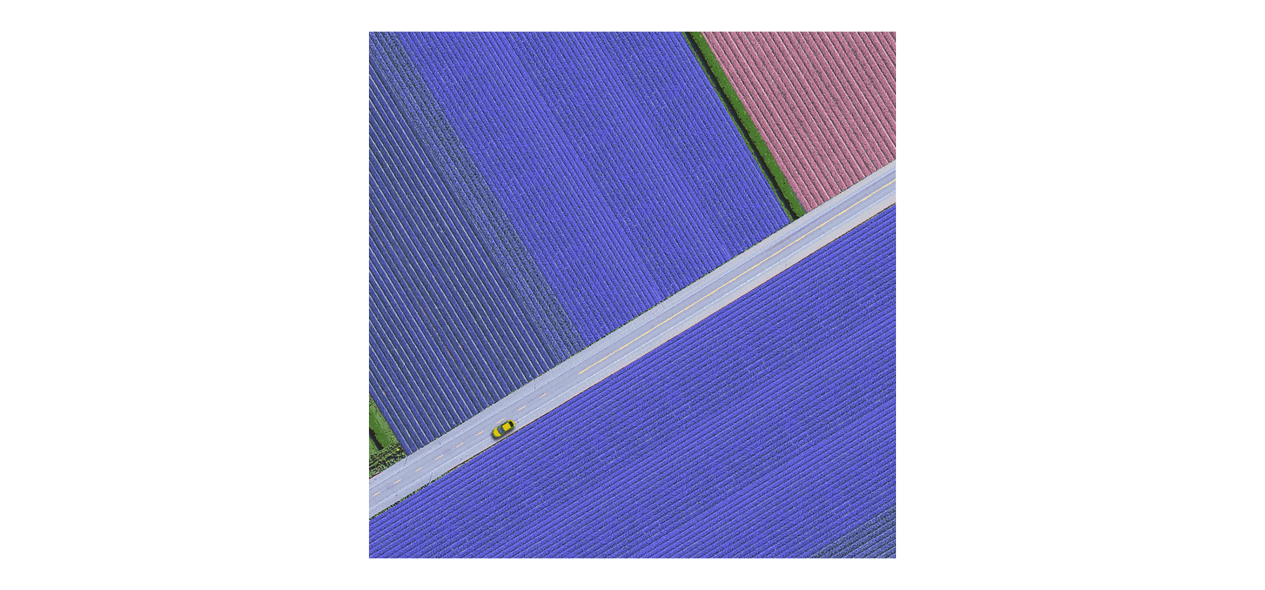 项目复盘-分布式云盘BitDisk