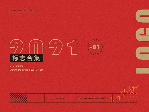 2020-2021  LOGO/总结