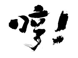 外交天团 实力圈粉