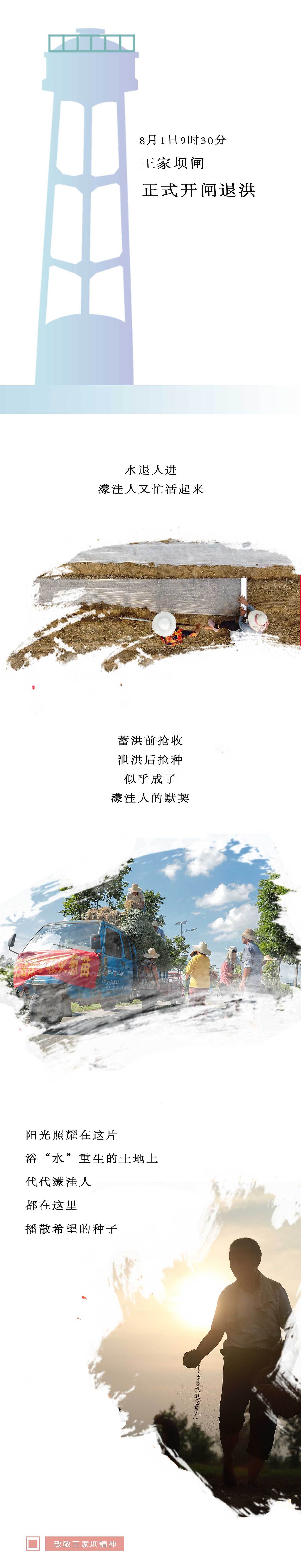 抗洪条漫-纪实王家坝