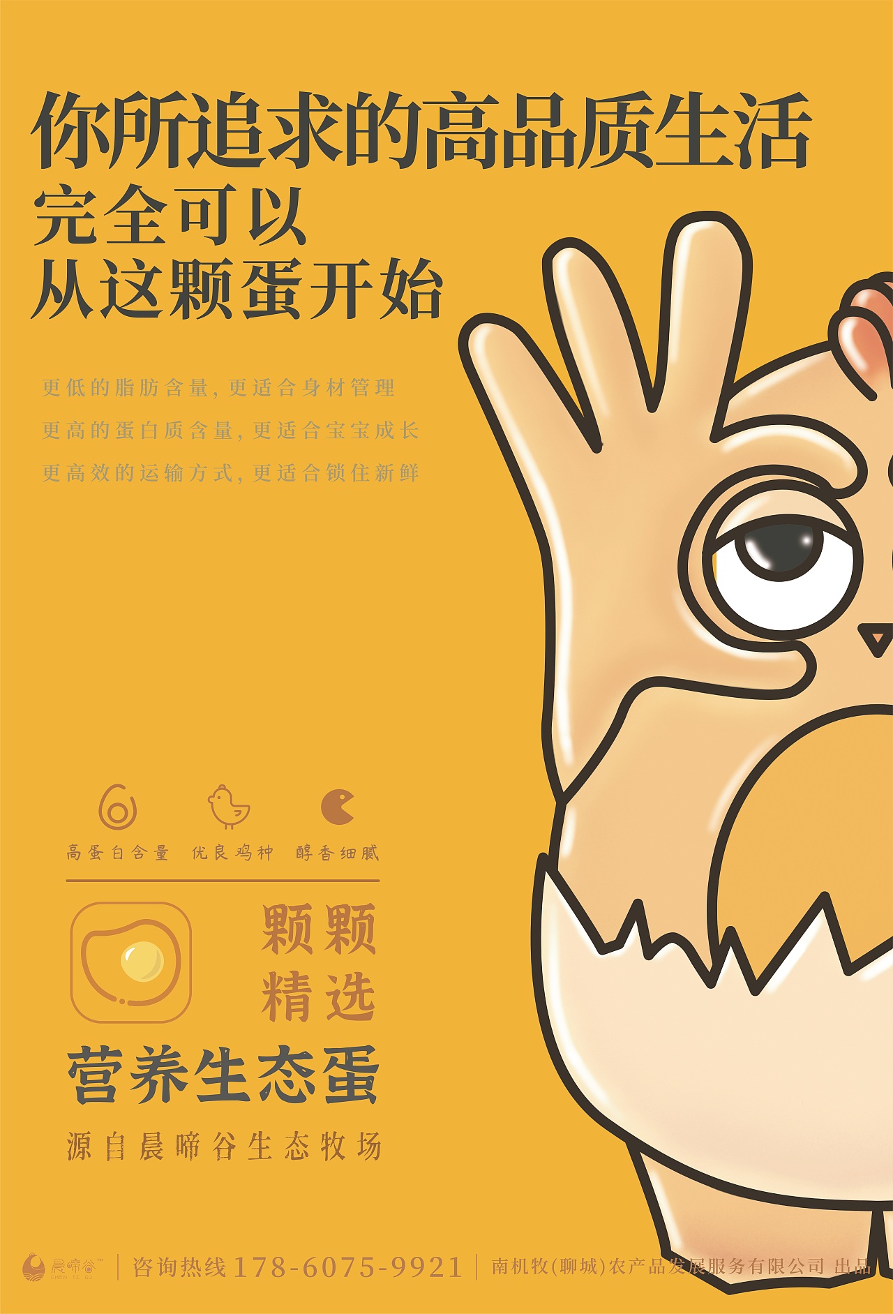 晨啼谷鸡蛋包装设计海报设计