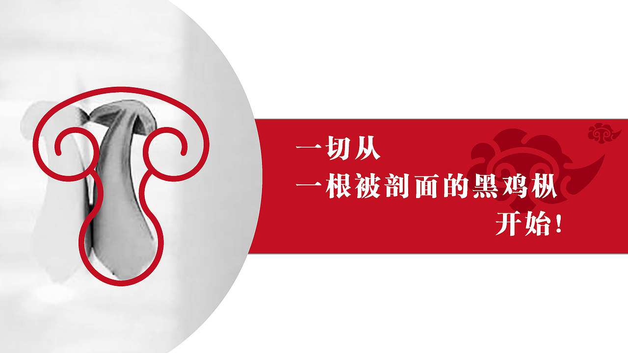 黑鸡枞菌菇礼盒包装设计