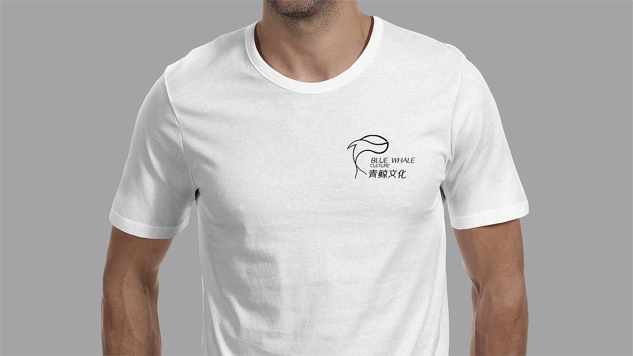 青鲸文化VI设计（图ZMjE4NDc0NDA0） - 品牌 - 站酷设计师蓝月涛Lyt原创素材 - 站酷ZCOOL
