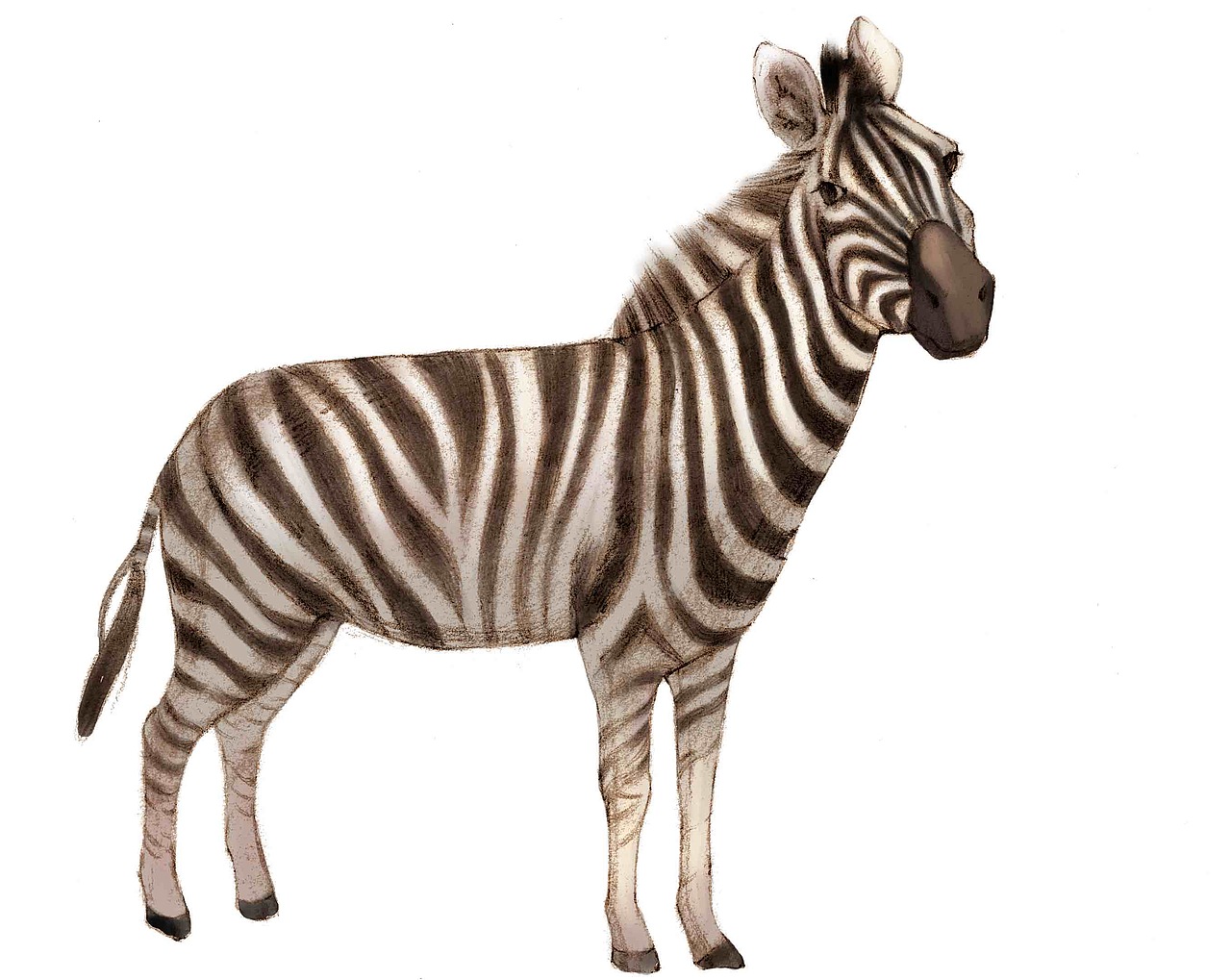 动物2（图ZMjc5MTM3MDY0） - 儿童插画 - 站酷设计师程秋寒原创素材 - 站酷ZCOOL