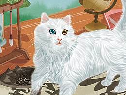 猫咪