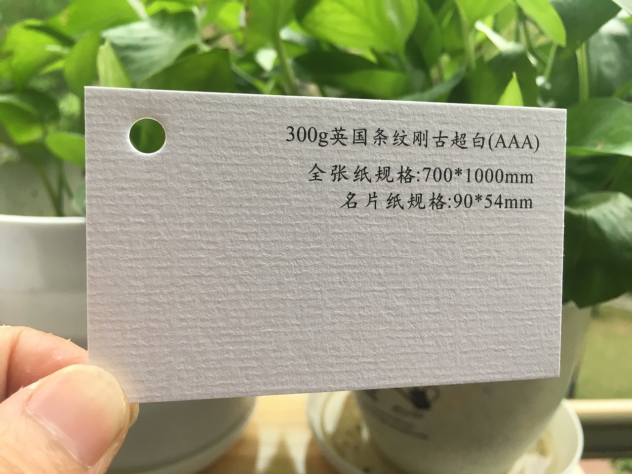 2019款特种纸艺术纸实物展示样册