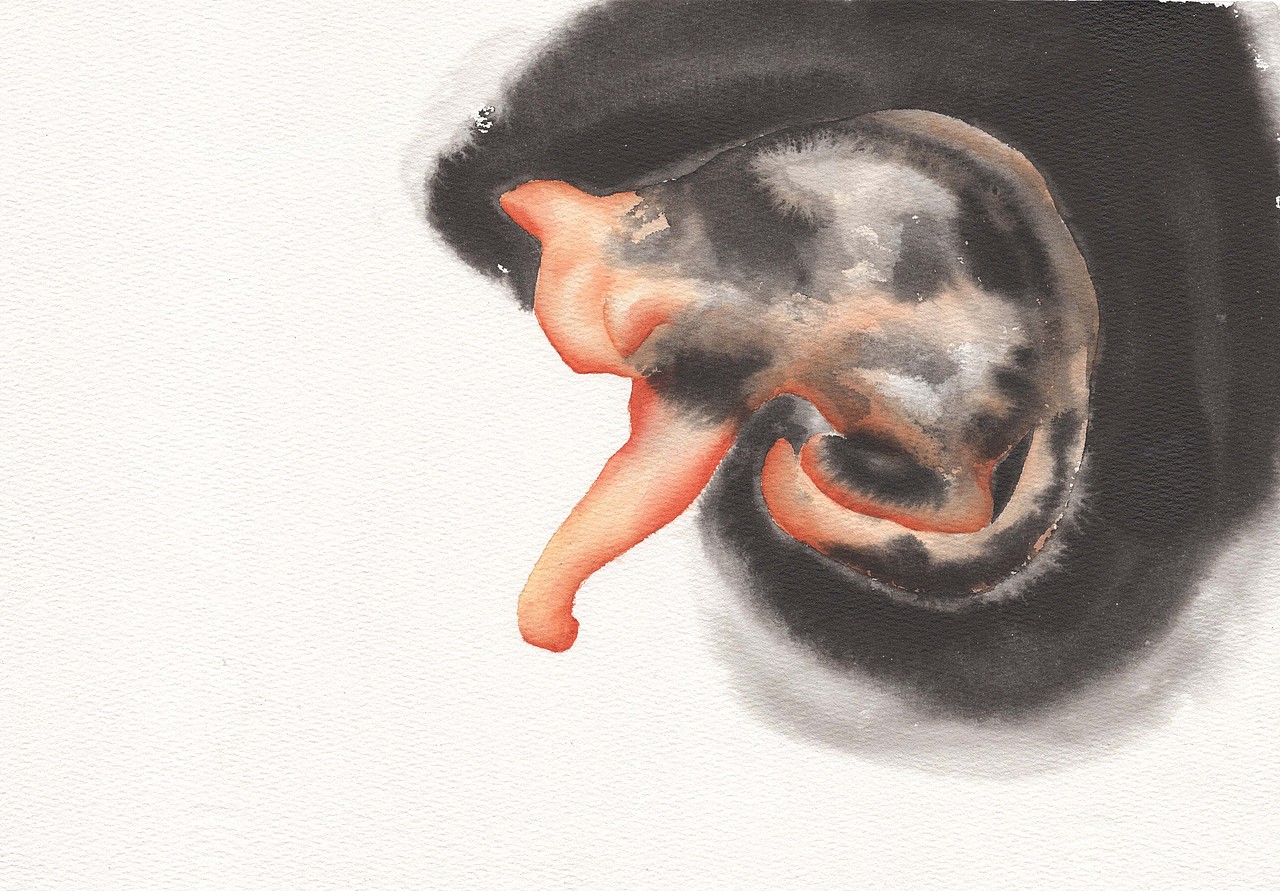 睡貓（圖ZMTUxNjEyNjgw） - 藝術(shù)插畫 - 站酷設(shè)計師白比原創(chuàng)素材 - 站酷ZCOOL