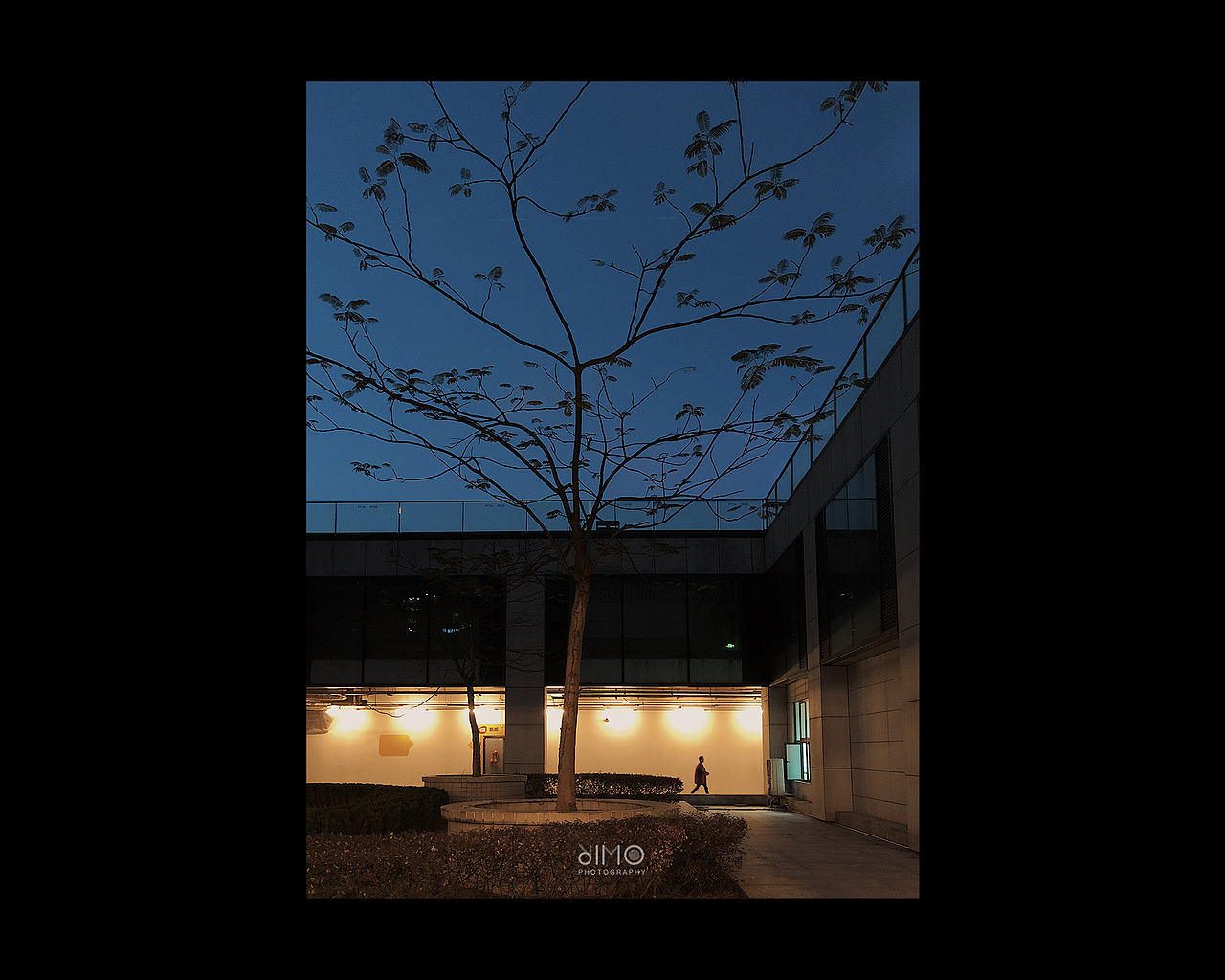 2019 | 手机摄影合集