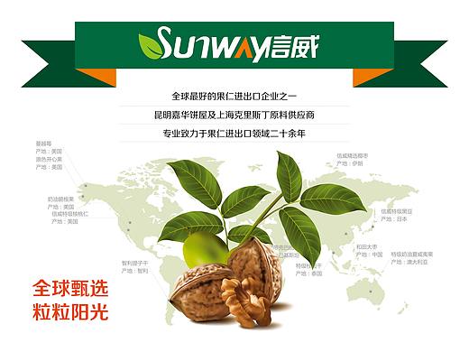 一套坚果包装全案