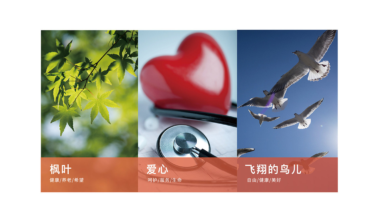 养老品牌/福慧嘉禾LOGO设计