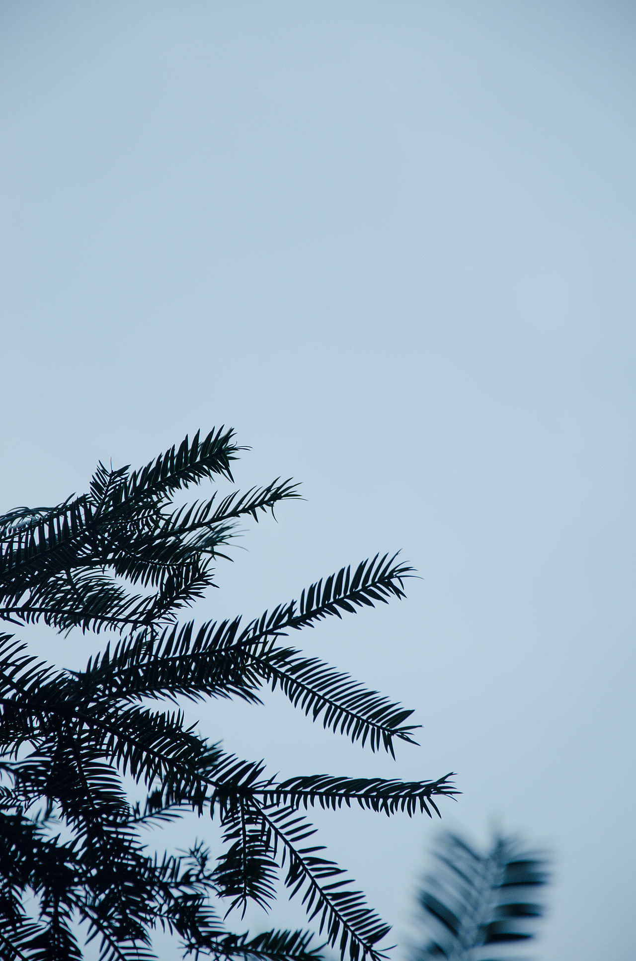 问道武当（图ZMjIxNDc2MTU2） - 风光摄影 - 站酷设计师Z39085363原创素材 - 站酷ZCOOL