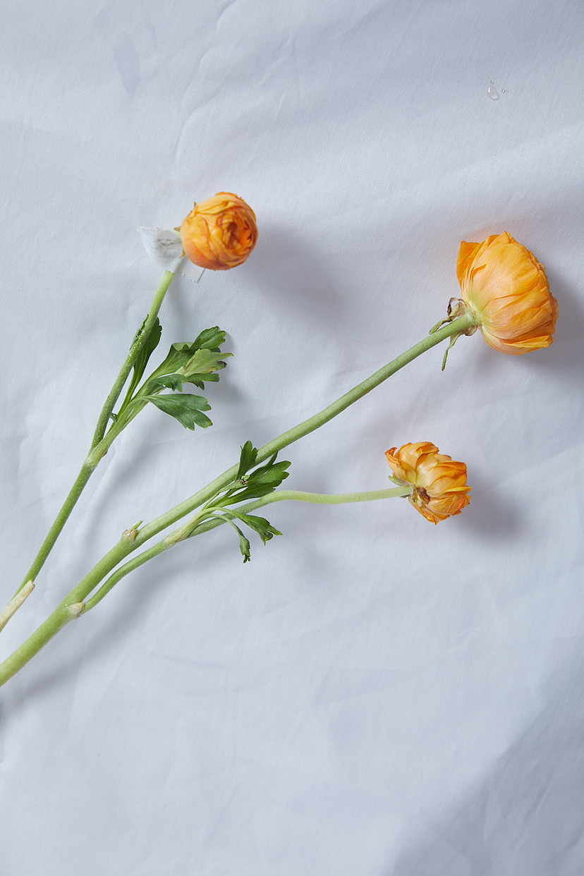 糖葫芦 美食摄影