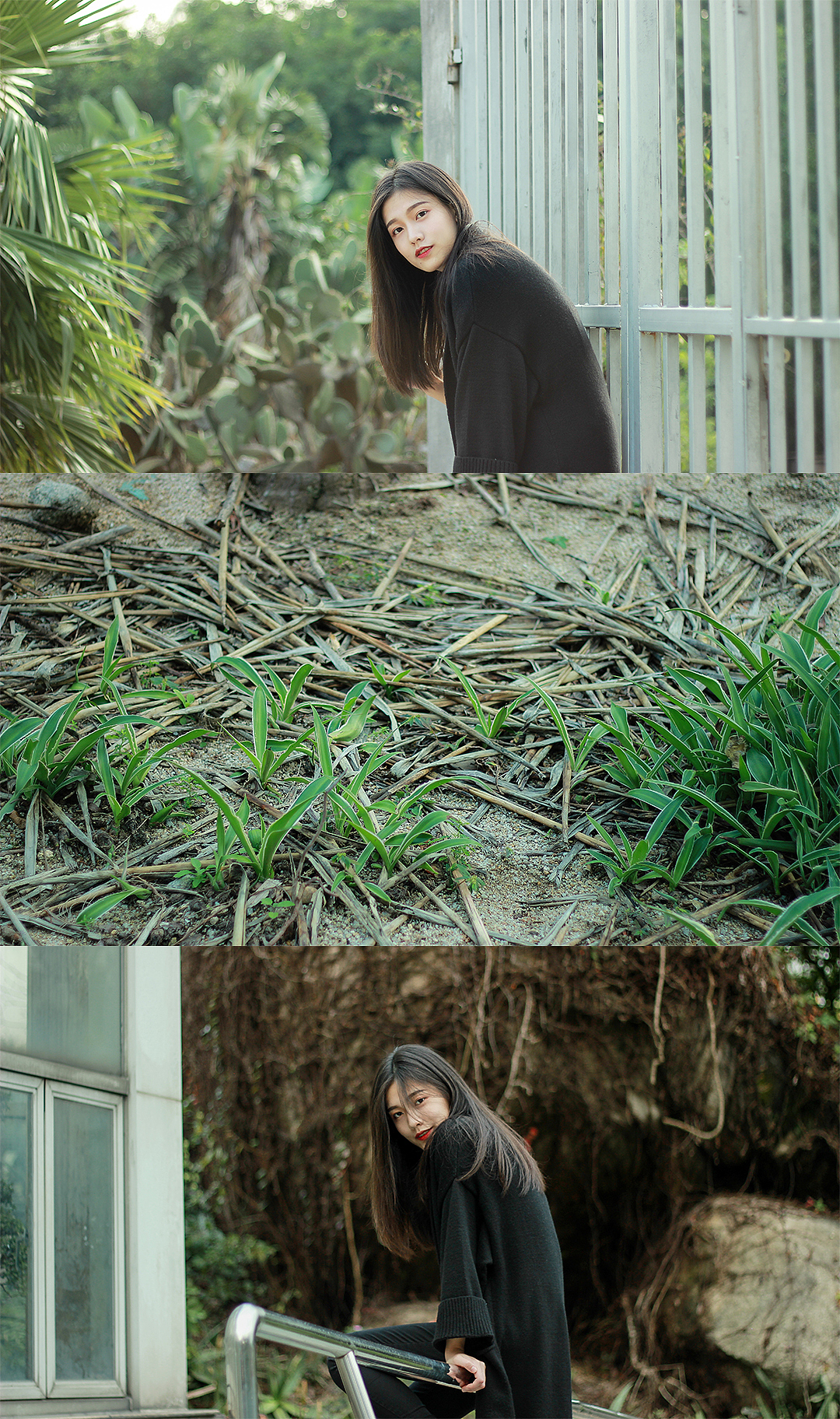 冬至日植物园小记