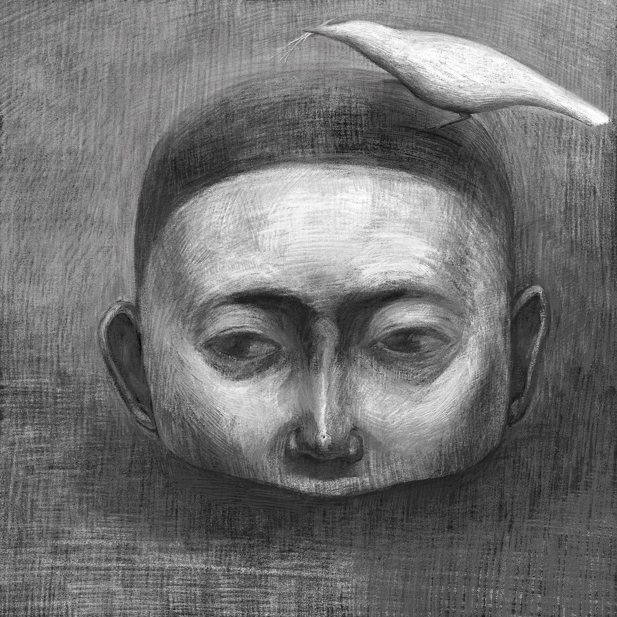 落脚在一处埋地里的半个头颅上