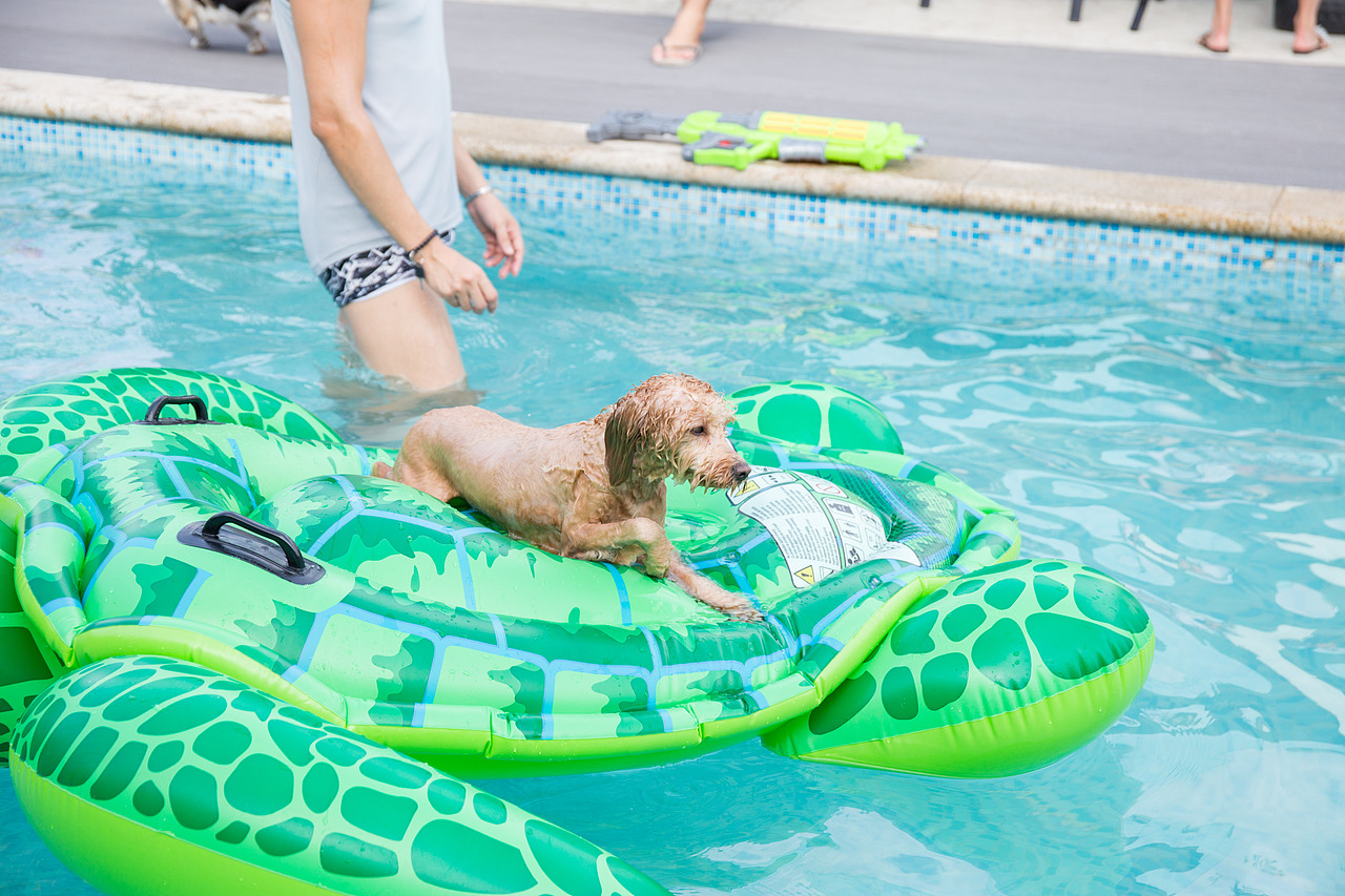 玩小伴-夏季泳池趴