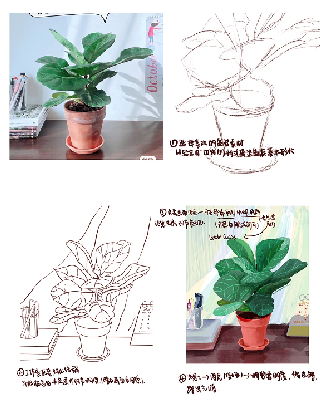 植物盆栽🪴写生