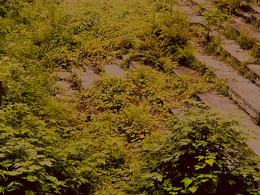 卻還是期待著他嘴里那句我愛你（個人主頁-ZNzA3NTk1OTI=） - 其他攝影 - 站酷設(shè)計(jì)師爪抓原創(chuàng)素材 - 站酷ZCOOL