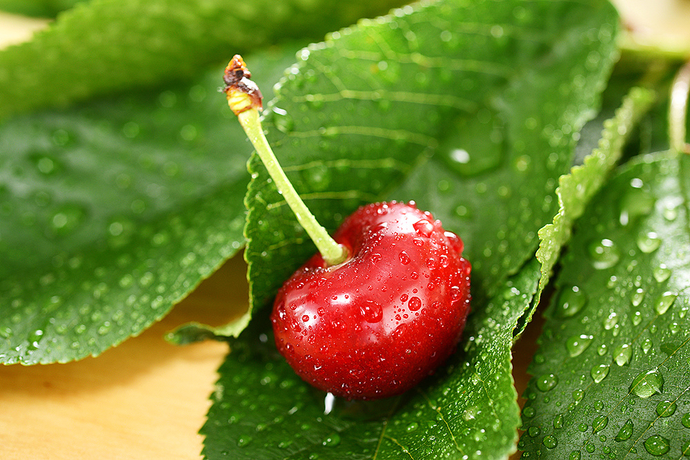 樱桃拍摄水果生鲜摄影/西红视摄影