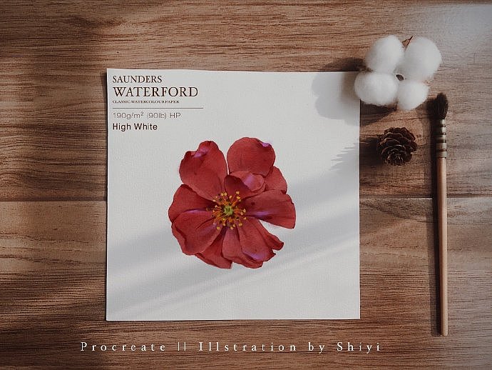 iPad水彩插画 | 花朵合集1