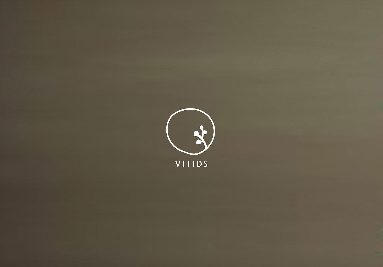 VIIIDS 童装LOGO设计（图ZNjE2NDIxMTI=） - Logo - 站酷设计师王木木设计原创素材 - 站酷ZCOOL