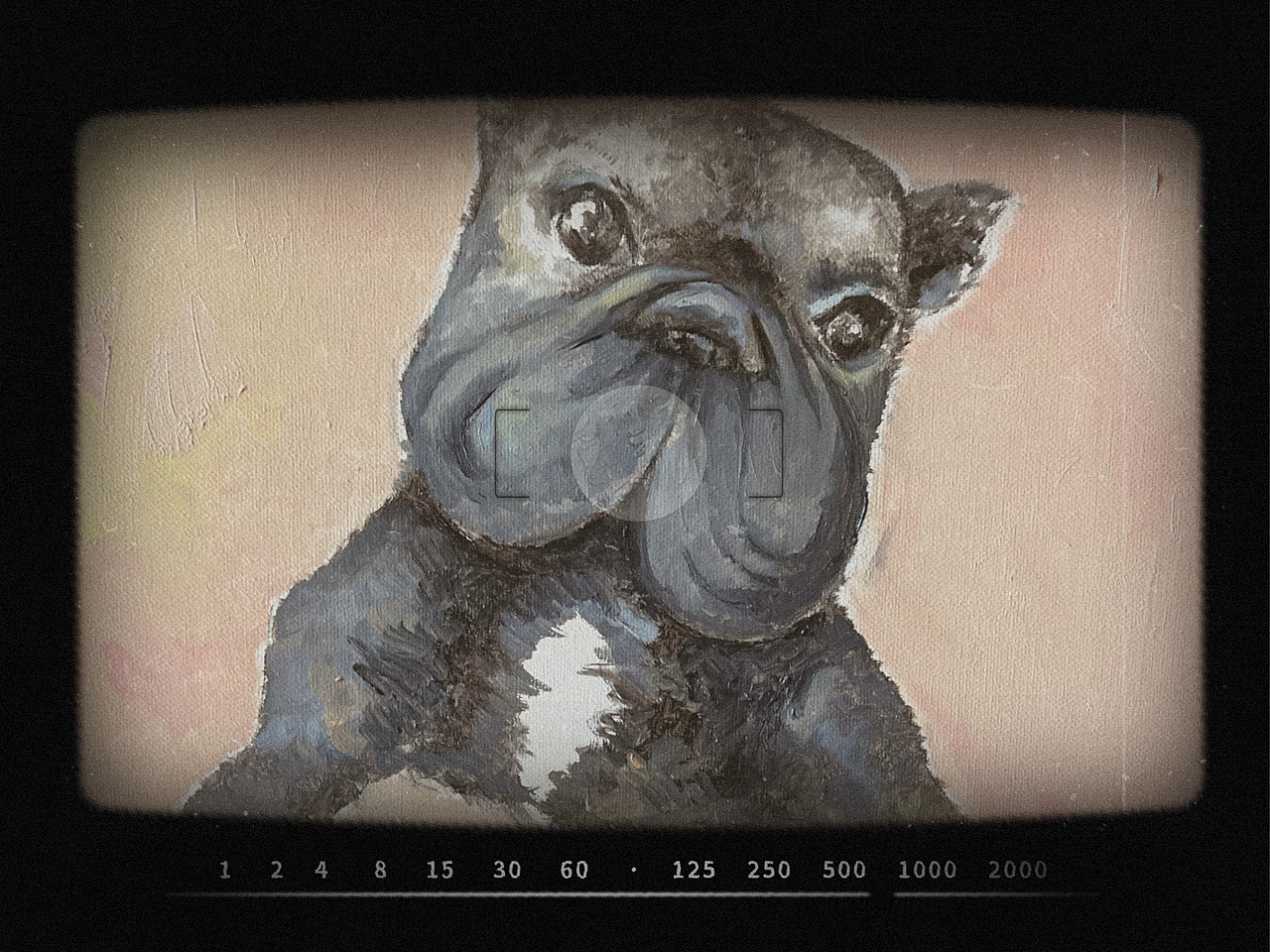 法斗（圖ZMjk0NTMwODI4） - 繪畫 - 站酷設(shè)計師反塔原創(chuàng)素材 - 站酷ZCOOL