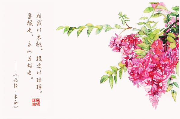 手绘花卉系列——《花·诗经》