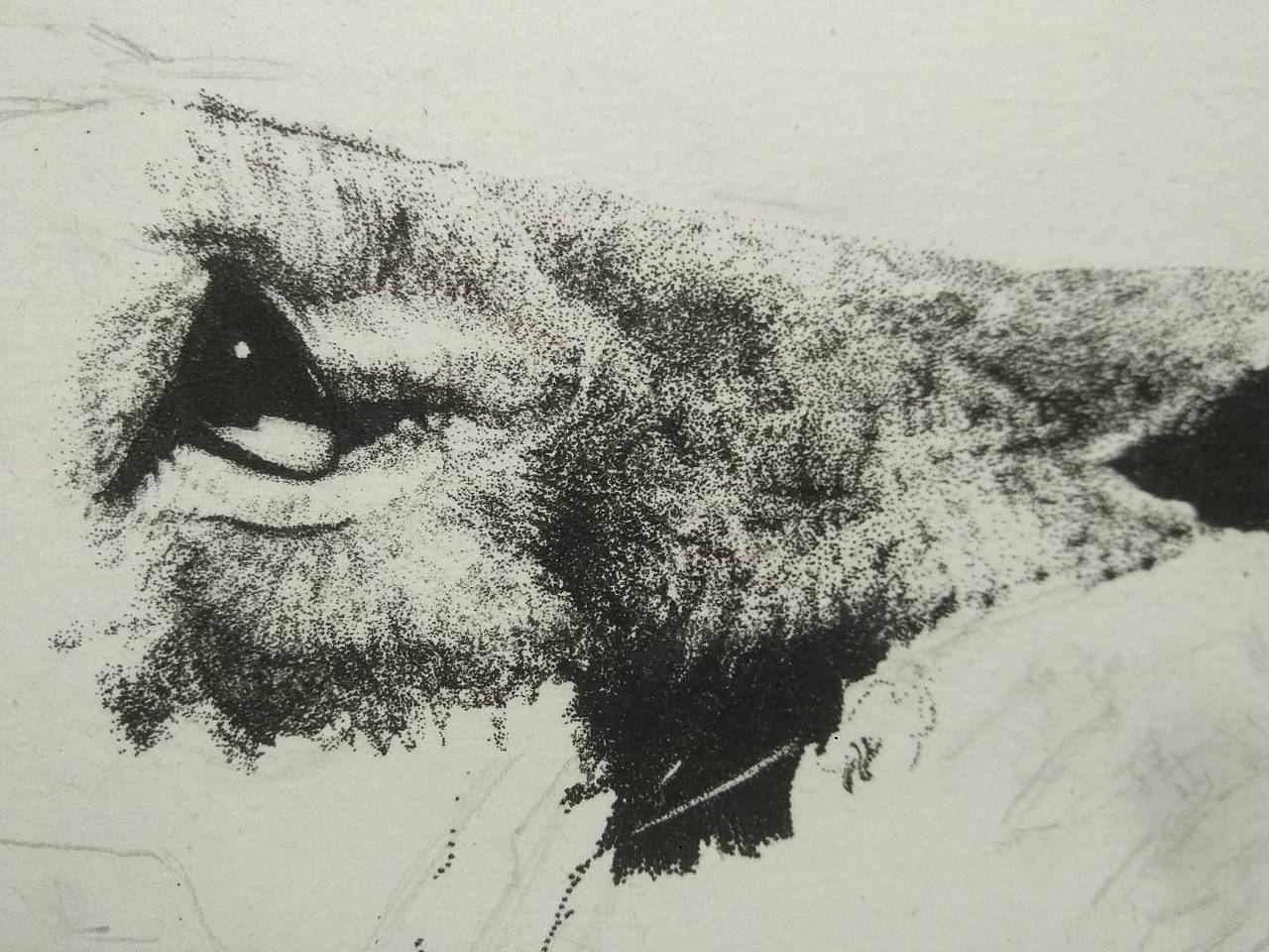 点绘（图ZMTA2NzQ2OTI0） - 绘画 - 站酷设计师Avery与余原创素材 - 站酷ZCOOL