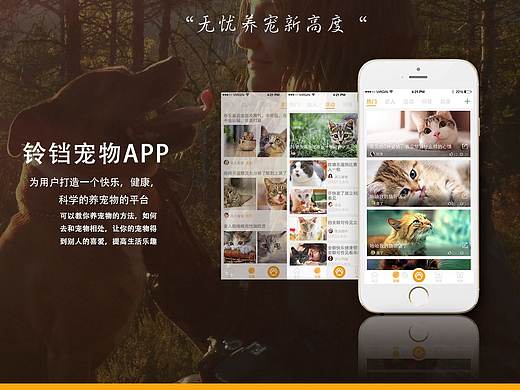 宠物app