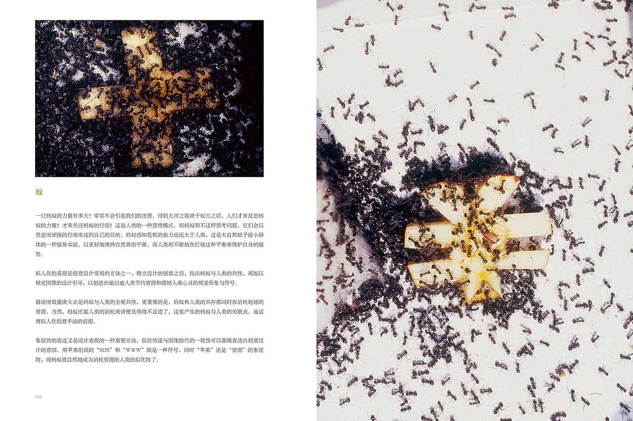 原创一一设计造型语言探索〈蒋志龙把玩平面设计〉